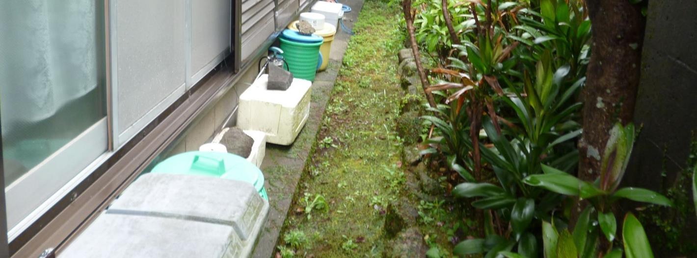 1980s wood house near the coast in Sumiyoshi, Ichikikushikino