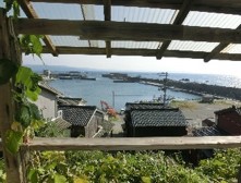 Wood house in Niigata