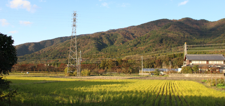 Wood house in Shiga