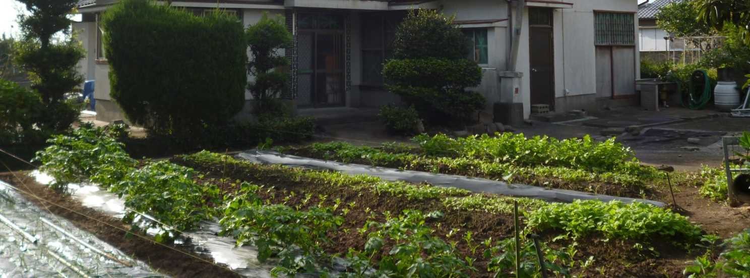 1950s wood house near the coast in Sumiyoshi, Ichikikushikino