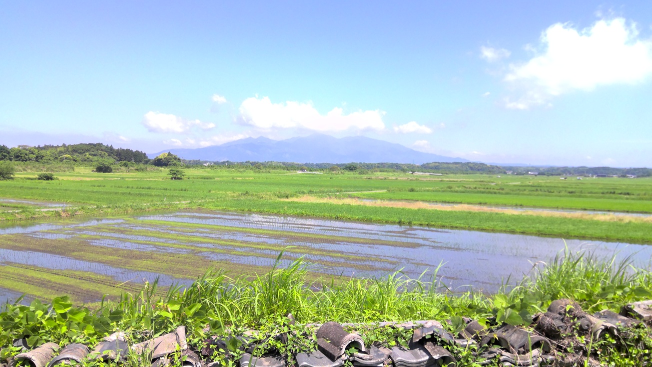 1970s wood house in Koyama, Kimotsuki, farmland, approval needed
