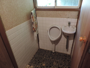 House in Kochi