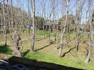 1980s house in Osumi, Soo, farmland, approval needed