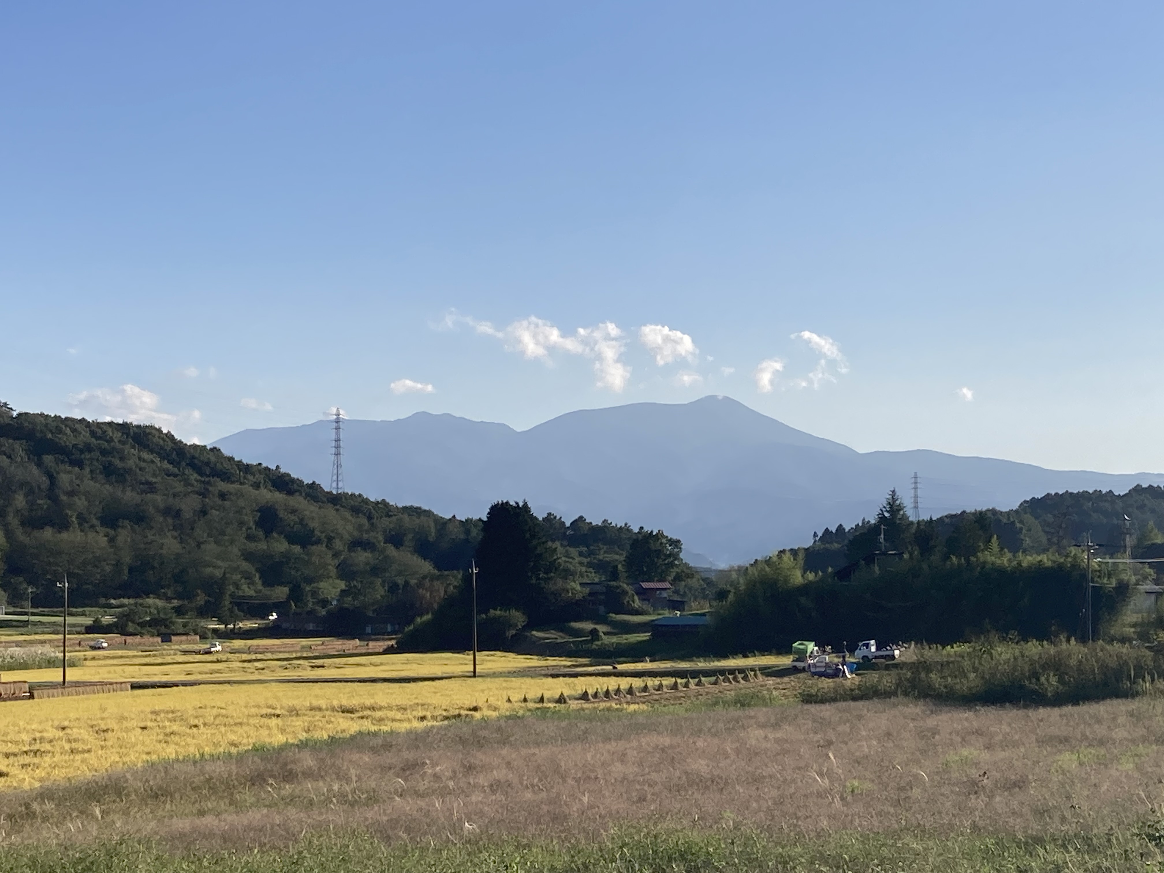 2000s wood house on a large plot in Nagano