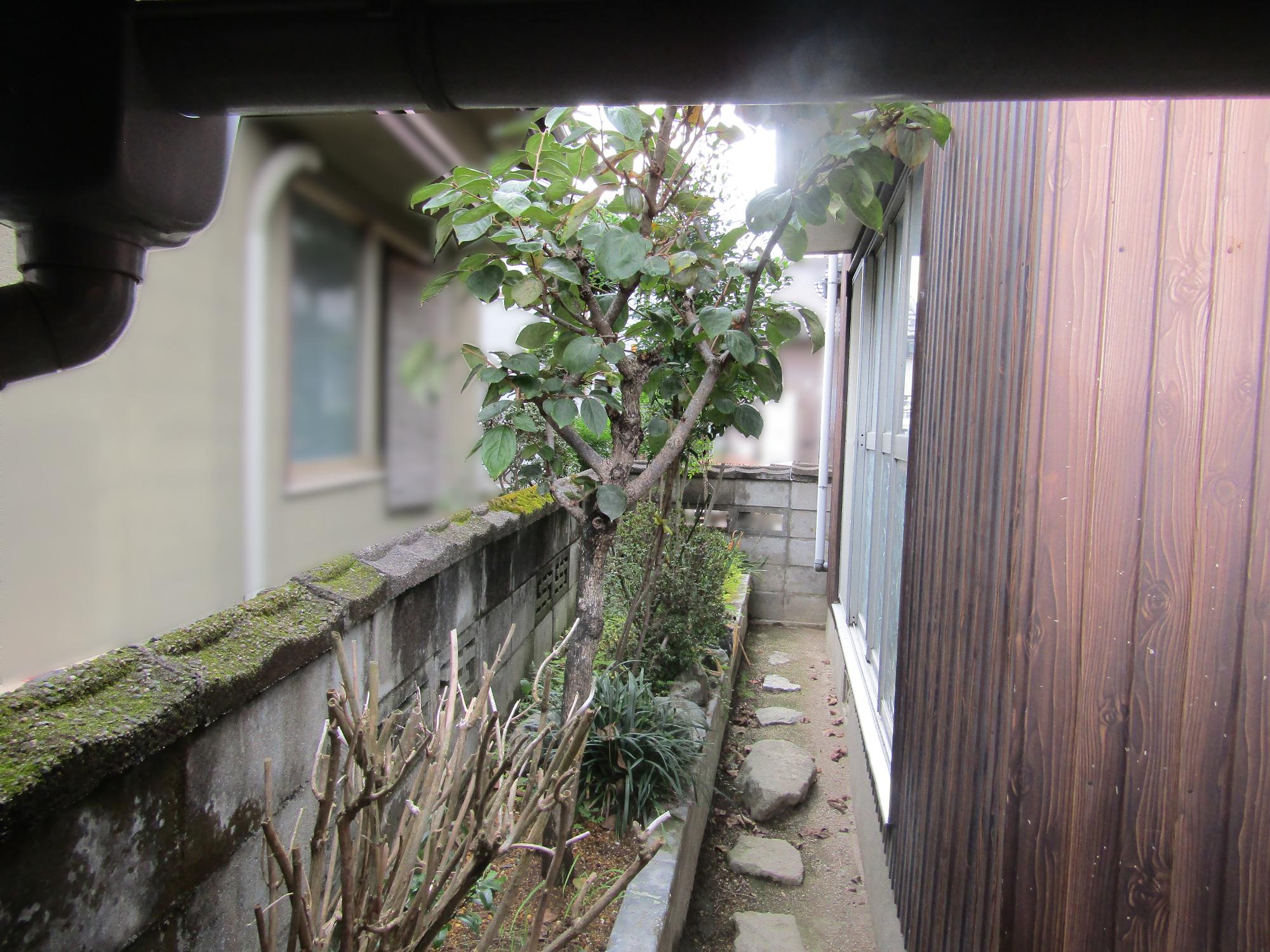 A-116 Compact property conveniently located near the station and supermarket ♪