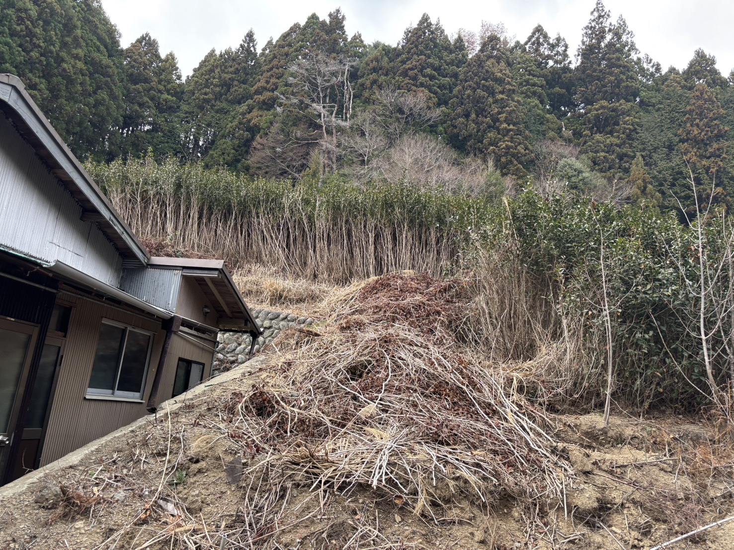 1970s wood house on a large plot in Shizuoka