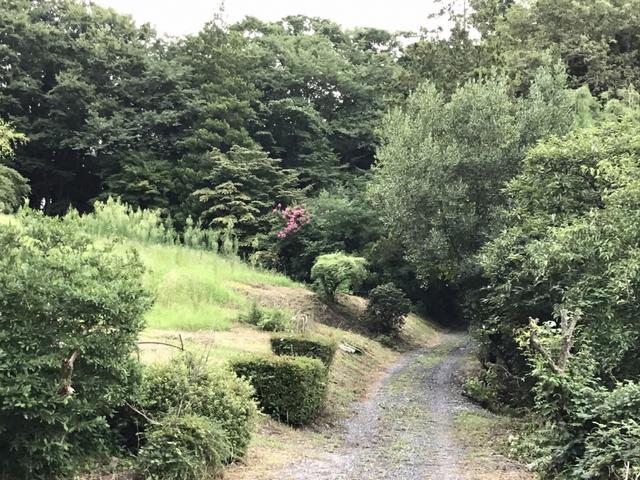 Empty home in Japan
