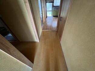 House in Kochi