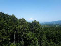 1980s wood house in Shizuoka
