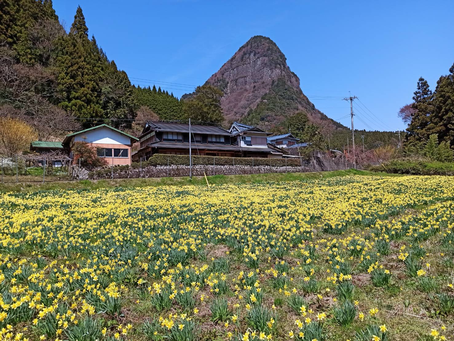 House with outbuildings in Nara