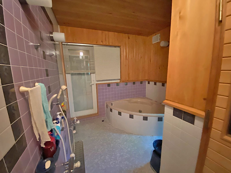 1990s wood house on a large plot in Nagano