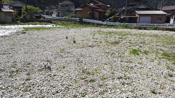 House in Hyogo