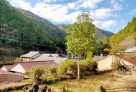 1980s wood house in Nara