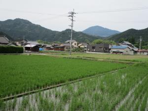 1970s wood house, 15-min walk to station, Ehime