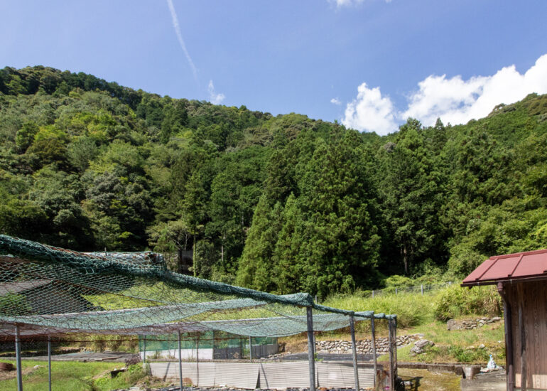 1940s wood house in Matsusaka Kahada