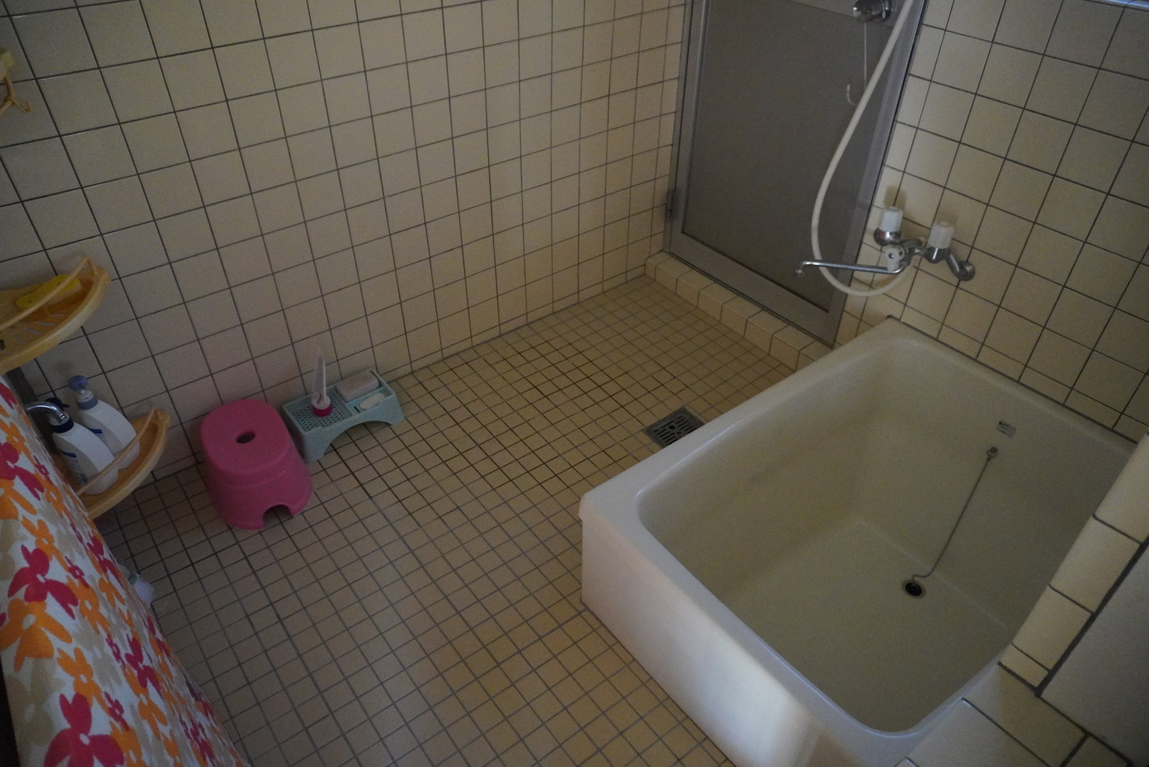 Empty home in Japan