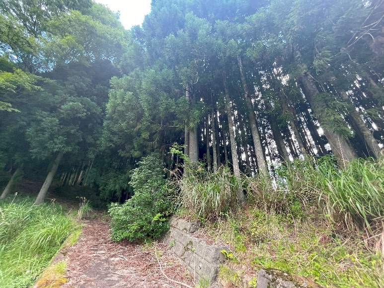 House in Nara