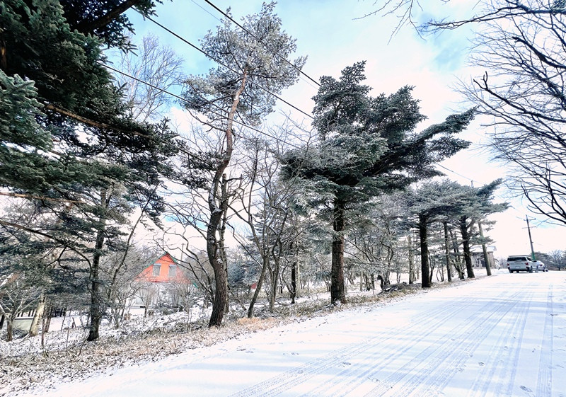Wood house in Nagano