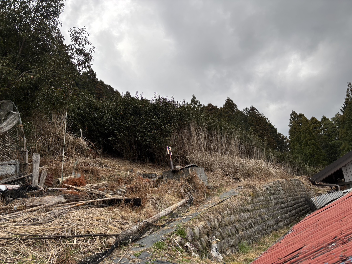 1970s wood house on a large plot in Shizuoka
