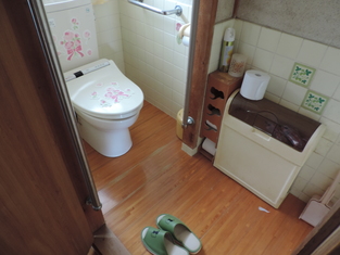 House in Kochi