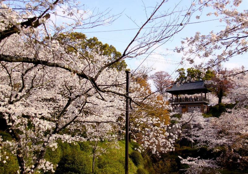 Wood house in Kumamoto