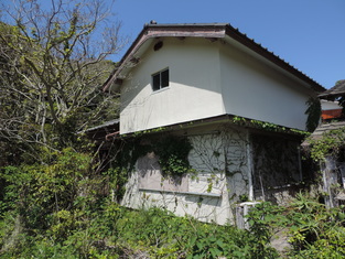 House in Kochi