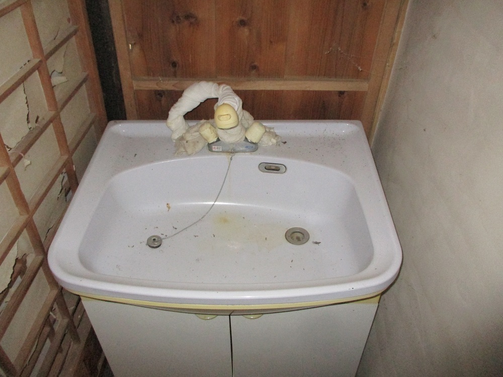 Wood house on a large plot in Gunma