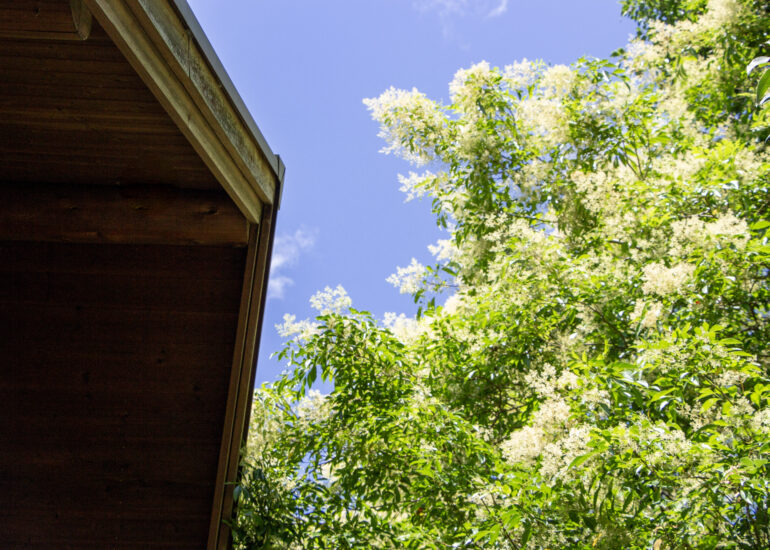 2000s wood house in Matsusaka Kahada