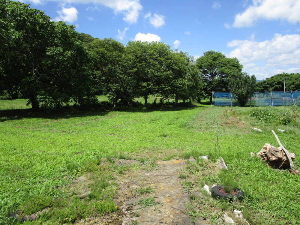 1970s house on a large plot in Iwate