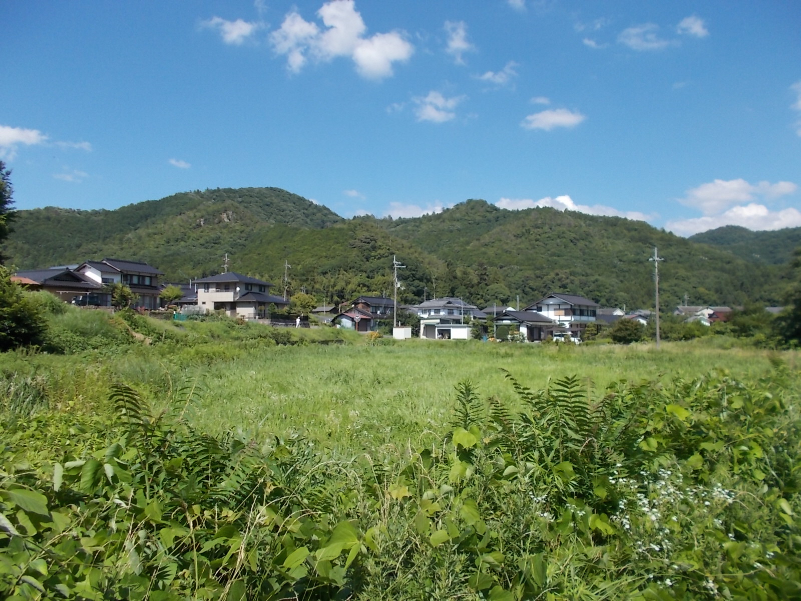 Wood house on a large plot in Fukuchiyama, Kyoto