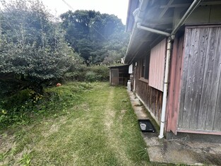 House in Kochi