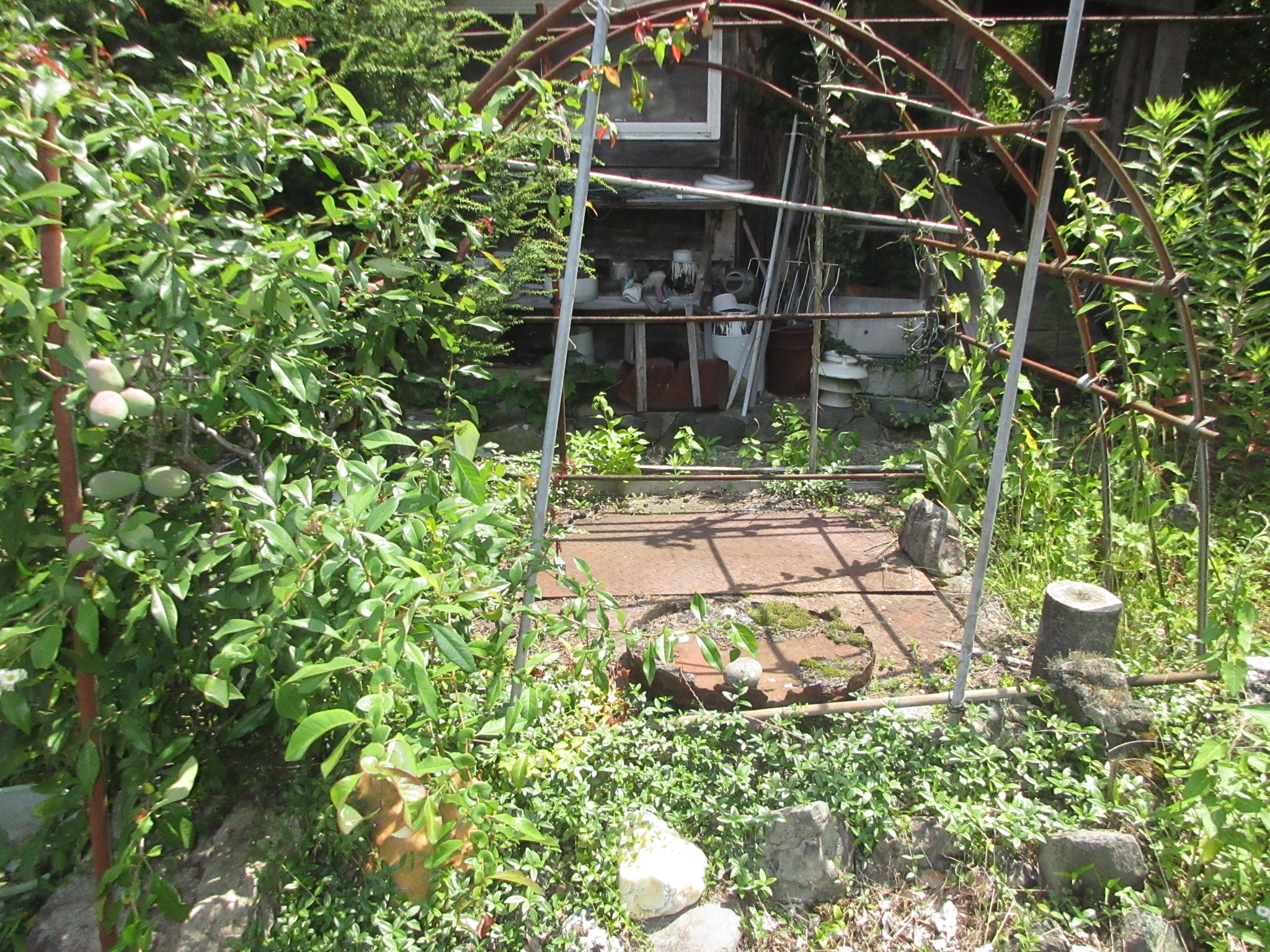 1980s wood house on a large plot in Iwate