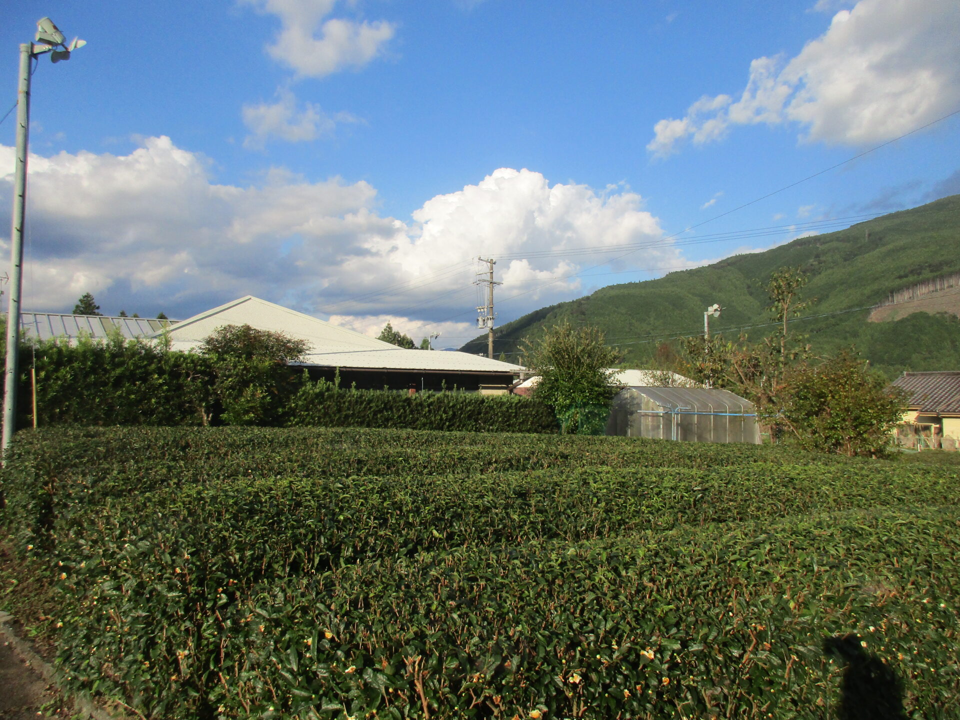 1920s wood house on a large plot in Shizuoka