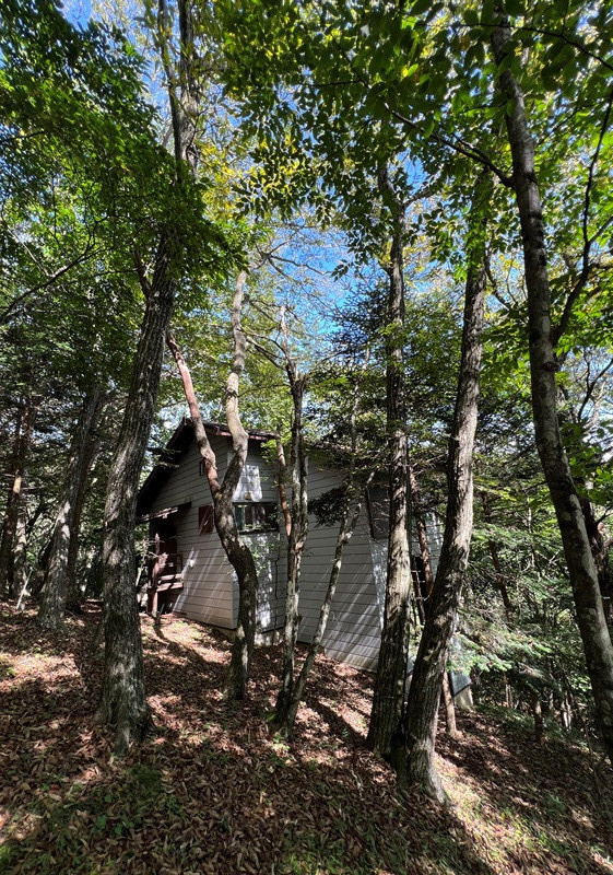 Wood house on a large plot in Nagano