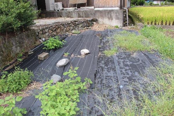 1960s wood house with storehouses in Hyogo
