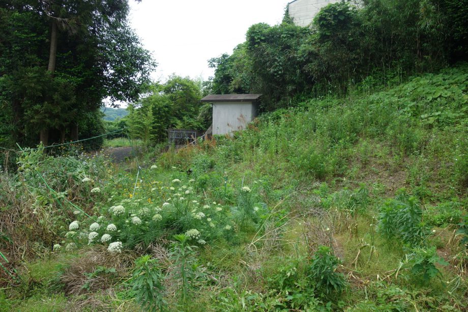 2010s wood house in Nagasaki