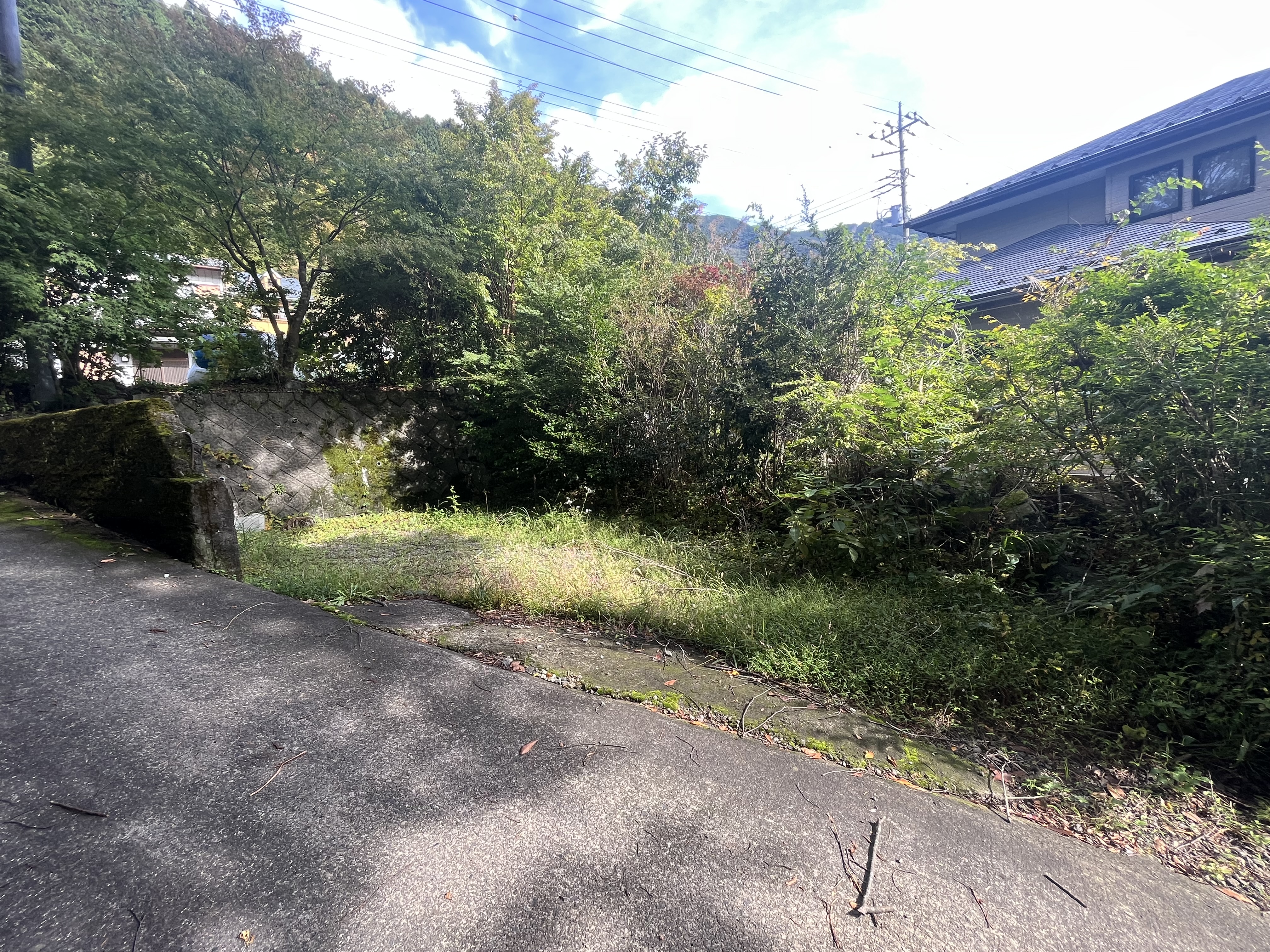 Wood house in Yamanashi