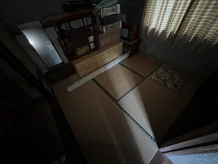 House in Kochi