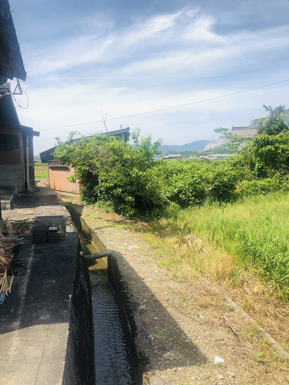 Wood house in Shiga