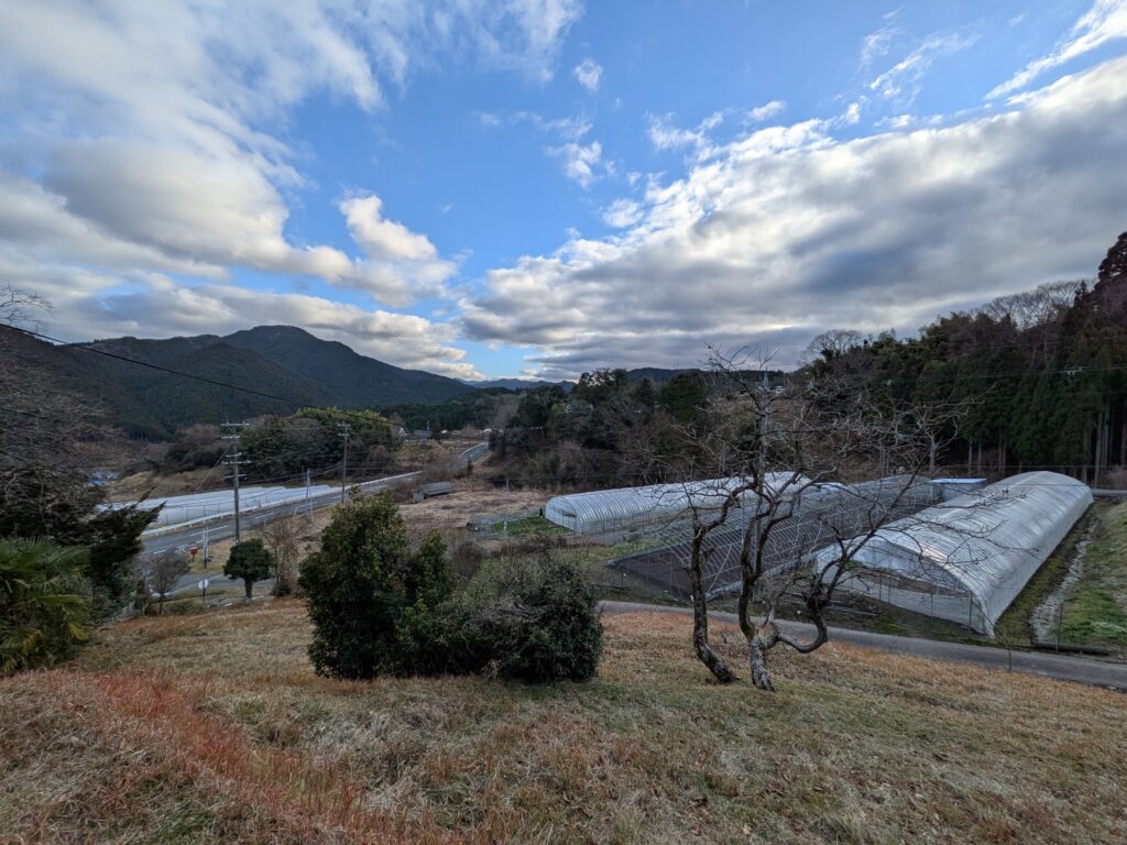 1960s wood house on a large plot in Nara