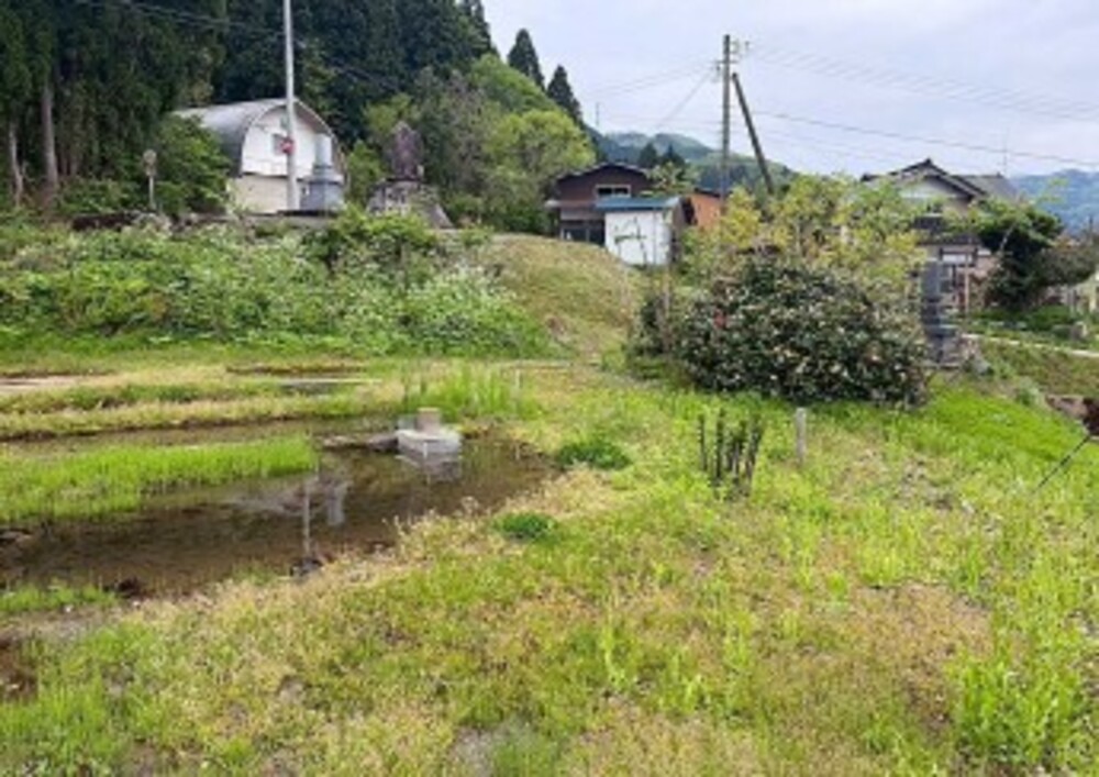 1960s wood house on a large plot in Toyama
