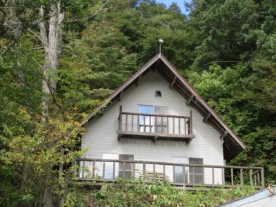 Vacation Home Near Ski Resort Built in Cleared Mountain Woodland