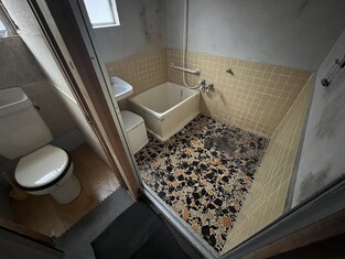House in Kochi