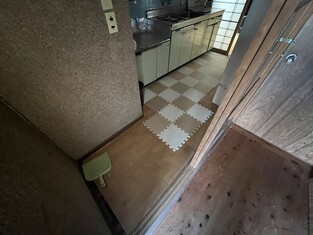 House in Kochi