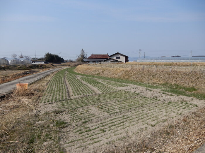 Wood house on a large plot in Kagawa