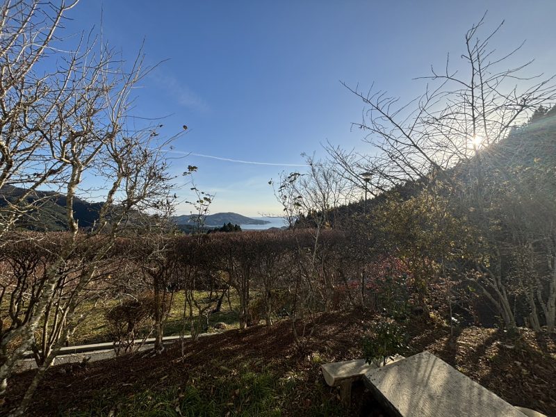 1980s wood house on a large plot in Iwate