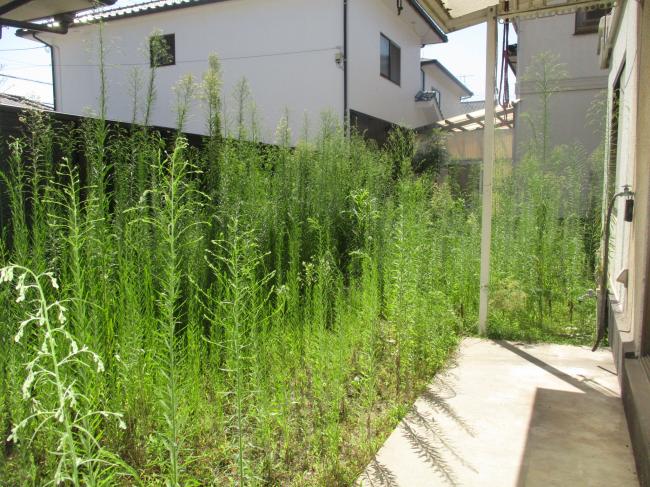 1980s concrete house, 20-min walk to station, Okayama