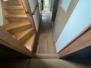 House in Kochi