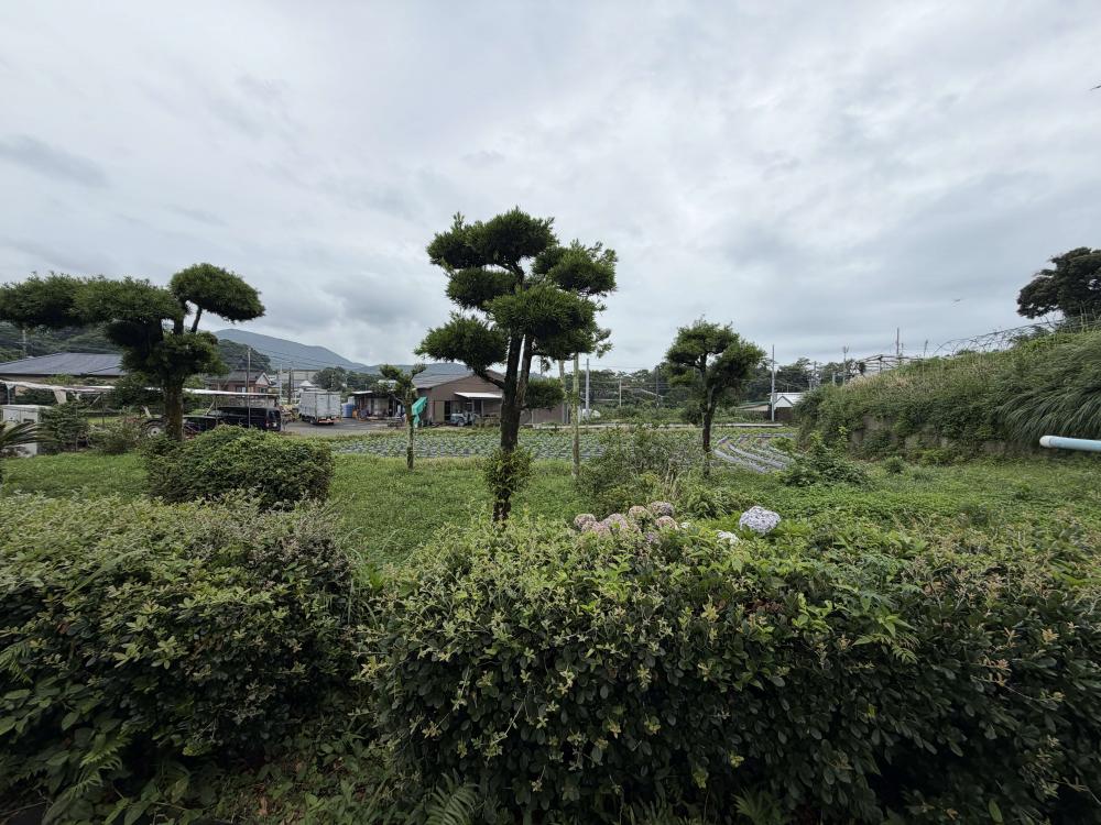 1990s wood house in Hamada, Kanoya, farmland, approval needed