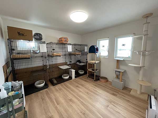 2020s wood house in Iwate